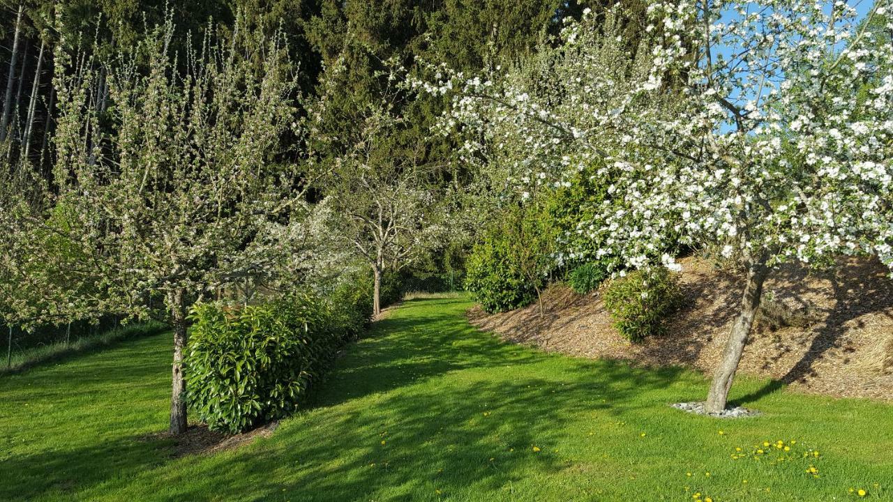 Ferienwohnung Am Waldrand Herdwangen-Schönach Exterior foto